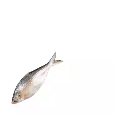 Whole Hilsha Fish (Asto Ilish) Special Offer ±40 gm